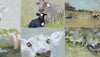 Farm Studies no.2 - Original Painting