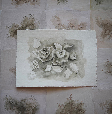 Pioneer Rose Studies 5
