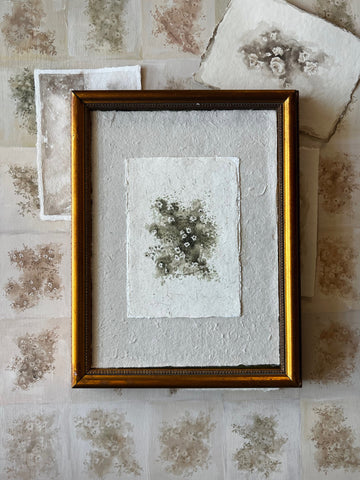 framed Pioneer Rose Studies 3