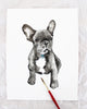Custom Pet Portrait | Watercolor